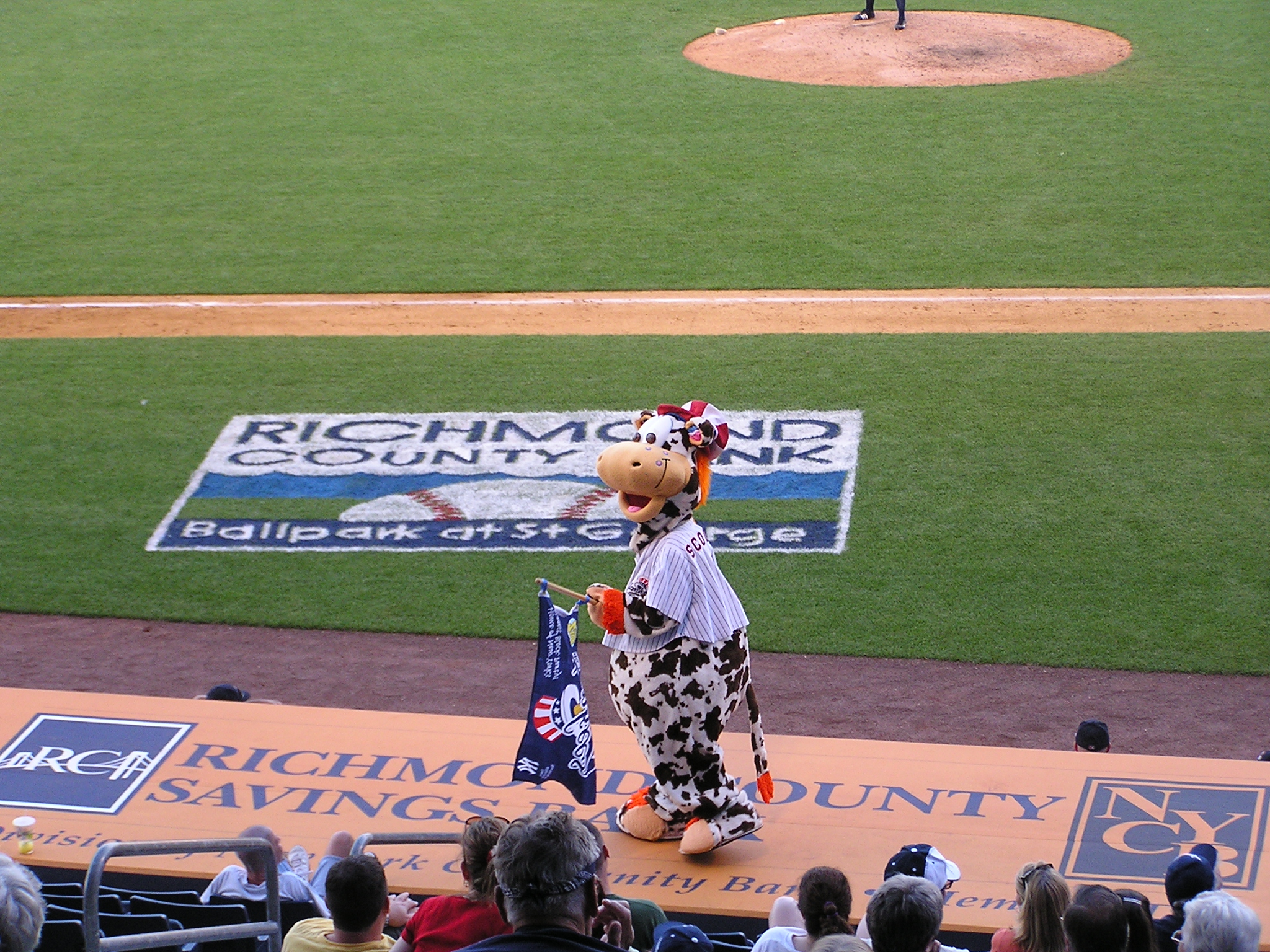 Scooter the Holy Cow, Rich Cty Ballpark@ St. Georg